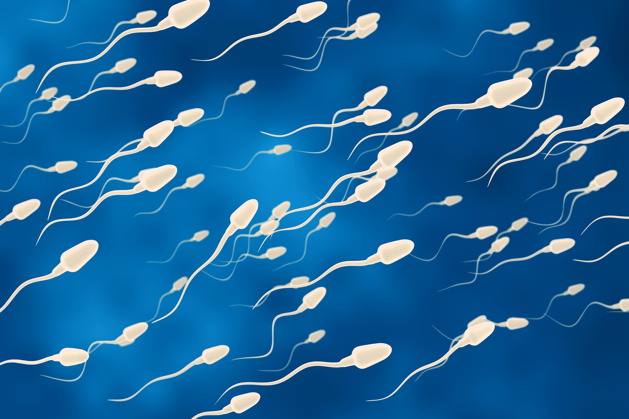 Viele Spermien in einer Samenspende