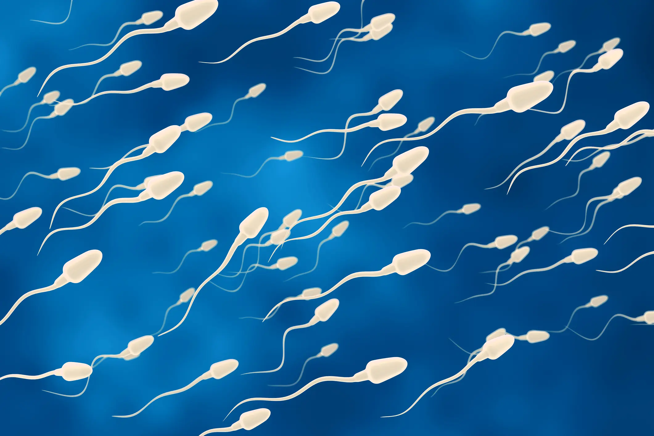 Viele Spermien in einer Samenspende