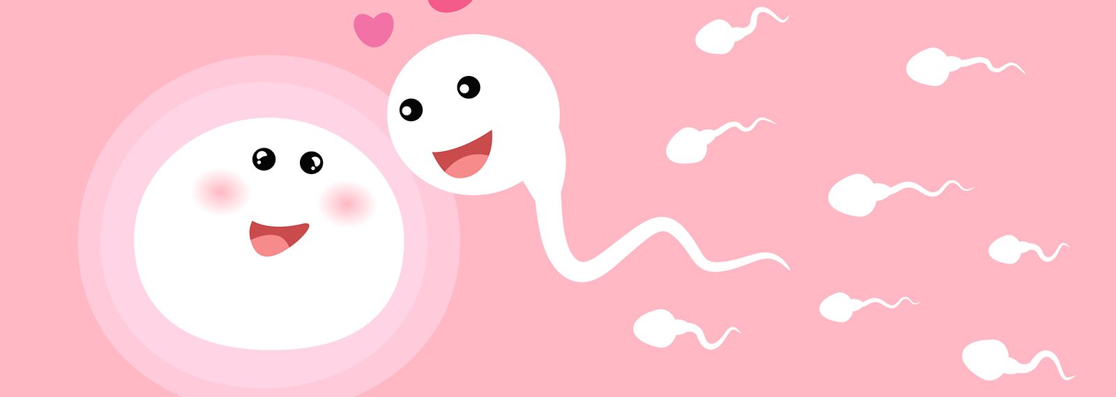 Sperma und Eizelle. Vektorillustration.