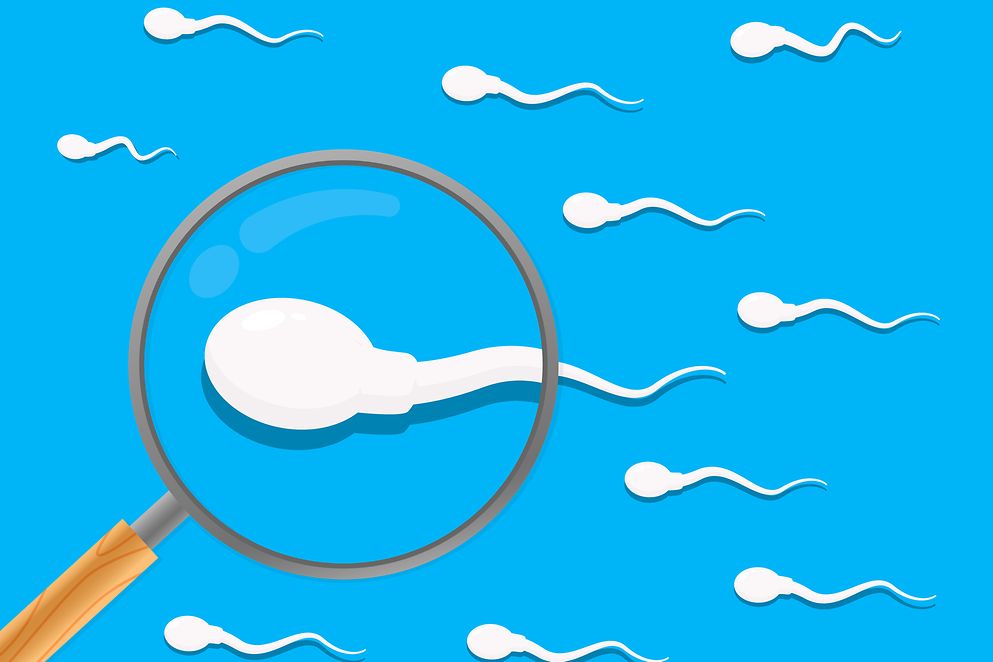 Grafisches Bild von Spermien unter einer Lupe auf blauem Hintergrund