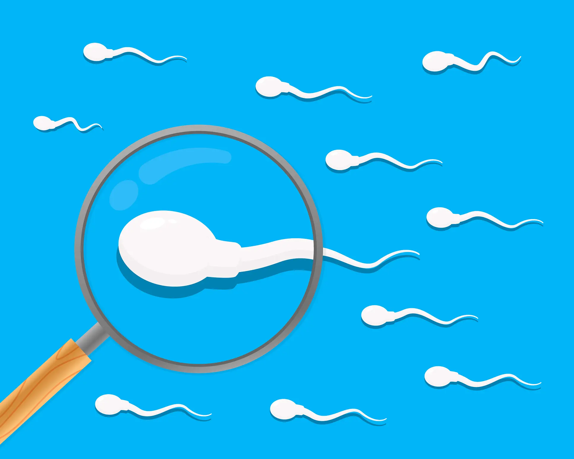 Grafisches Bild von Spermien unter einer Lupe auf blauem Hintergrund