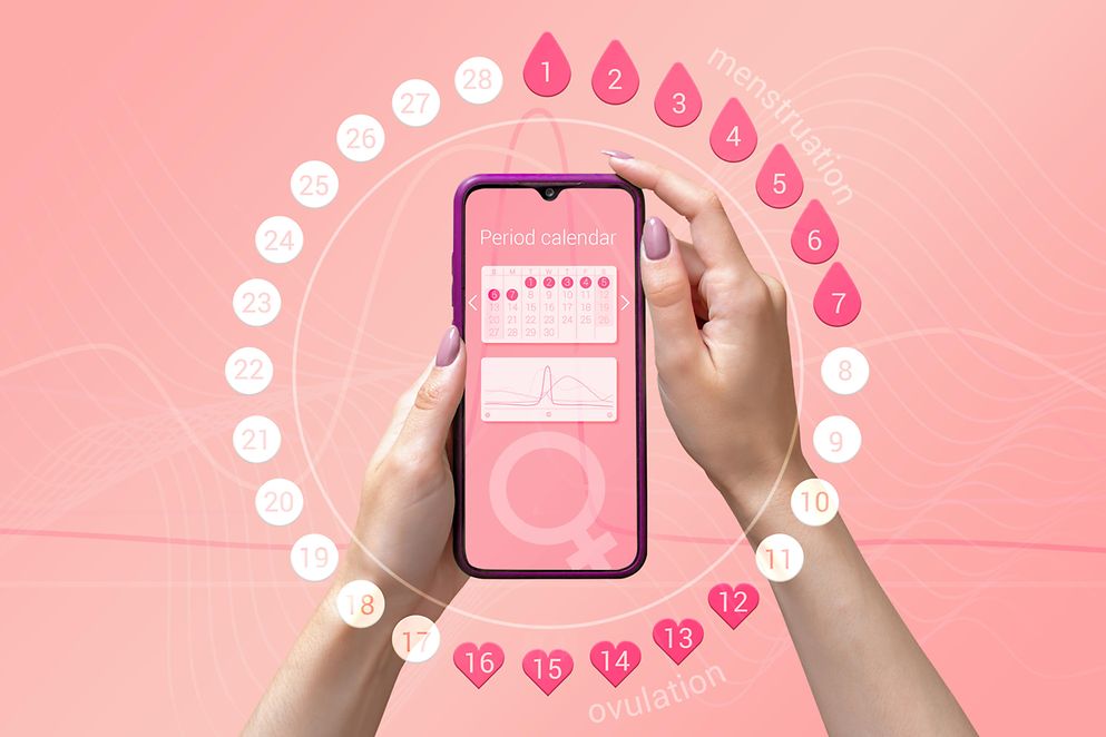 Menstruationszyklus-Tracker App auf Smartphone-Bildschirm in den Händen einer Frau