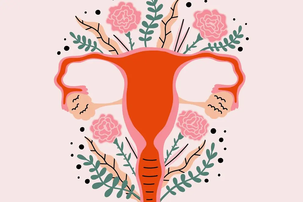 Weibliches Fortpflanzungssystem mit stilisierten Blumen