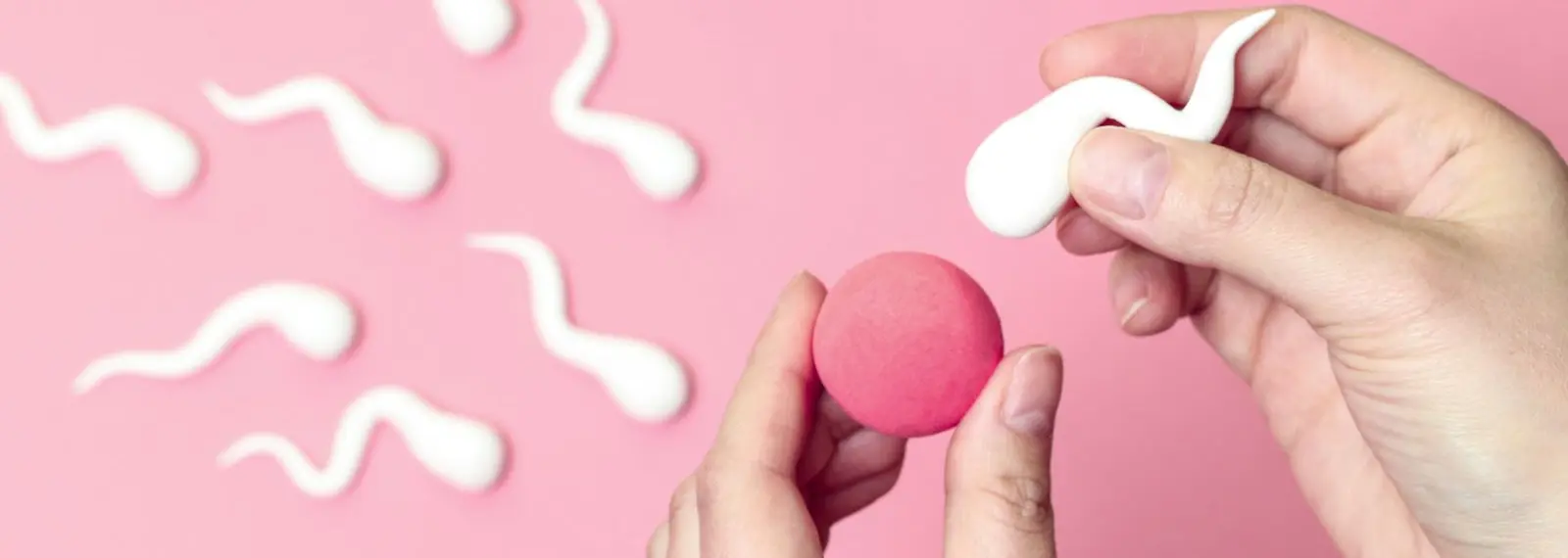 Hände halten ein Spermium und einen Ball aus Plastik. Im Hintergrund weitere Spermien.