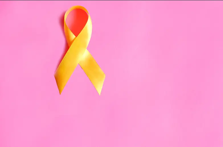 Menstruationszyklus-Tracker App auf Smartphone-Bildschirm in den Händen einer Frau