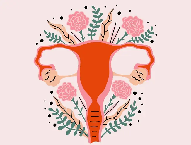 Weibliches Fortpflanzungssystem mit stilisierten Blumen